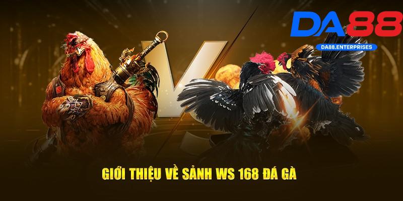 Ws168 Đá Gà – Trò chơi được nhiều hội viên DA88 lựa chọn 2 Giới thiệu về Ws168 Đá Gà
