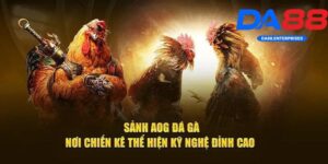 Sảnh AOG Đá Gà DA88