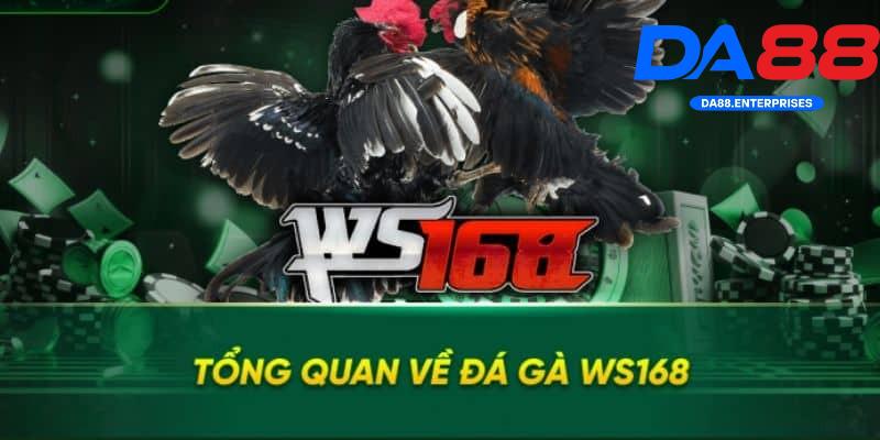 Ws168 Đá Gà – Trò chơi được nhiều hội viên DA88 lựa chọn 1 Ws168 Đá Gà DA88